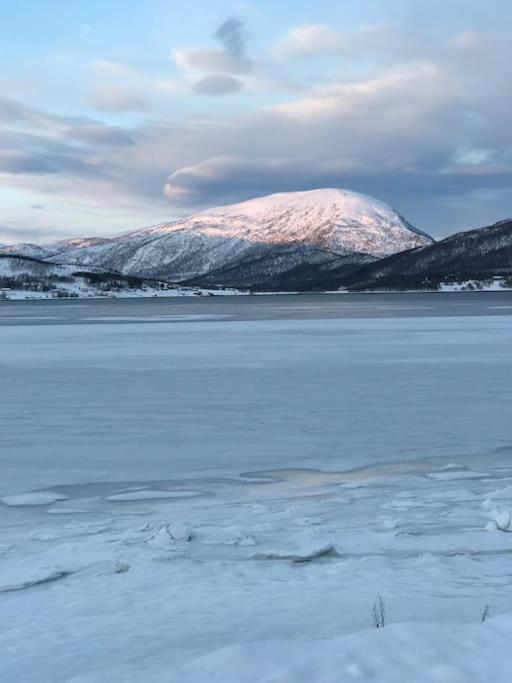 Trivelig Fritidshus Pa Arnes, Senja Straumstad 외부 사진