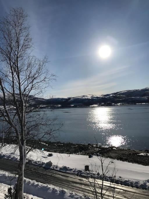 Trivelig Fritidshus Pa Arnes, Senja Straumstad 외부 사진