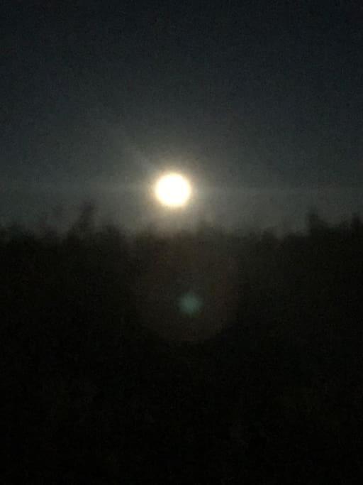 Trivelig Fritidshus Pa Arnes, Senja Straumstad 외부 사진
